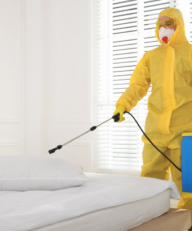 Professional Pest Control Team in Everard Park